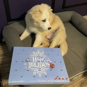 NWT Holiday Rawhide Advent Calendar